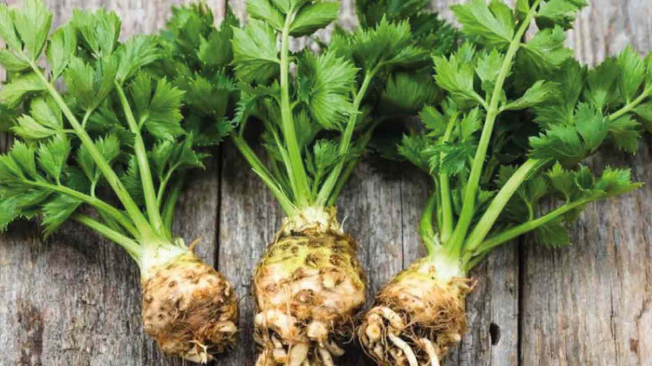 kerevizin_faudaları_spor_4