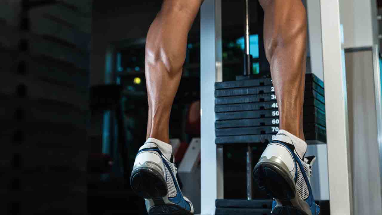 klaf_anatomi_gelisim_2