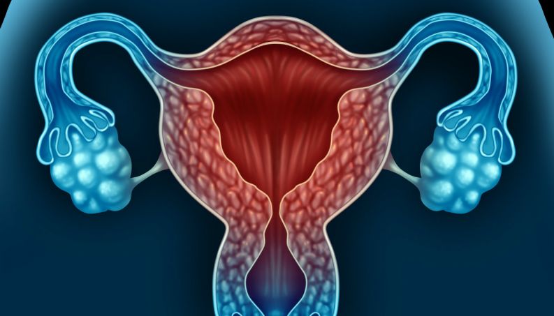ostrojen_hormonu_1(1)