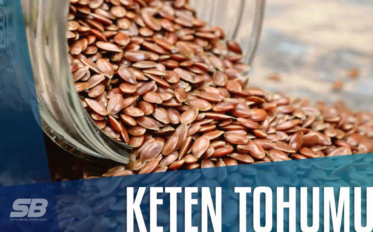 Keten Tohumu Faydaları Nelerdir? ana görsel