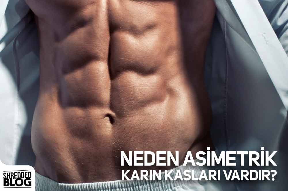 Neden Asimetrik Karın Kasları Vardır? ana görsel