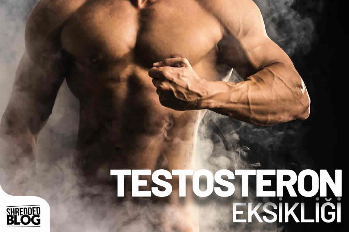 Testosteron Eksikliği Belirtileri Neler ? ana görsel